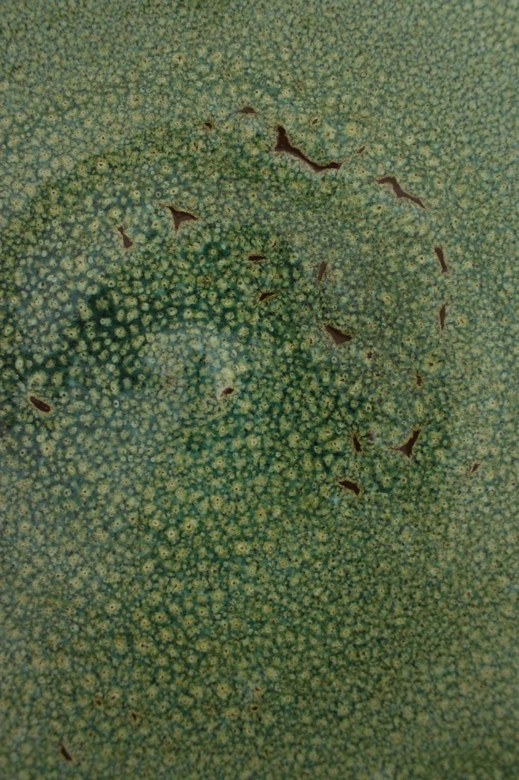 Handmade plate - green - 16.5inches / 42cm